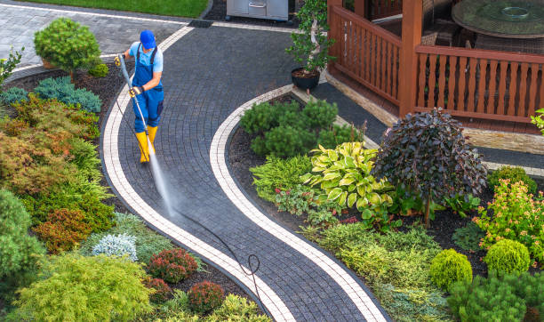 Best Local Pressure Washing Services  in Almedia, PA
