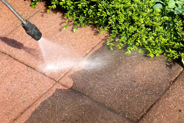 Best Pressure Washing Near Me  in Almedia, PA